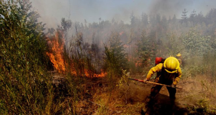 Foto de contexto de incendio forestal