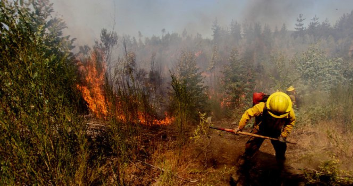 Foto de contexto de incendio forestal