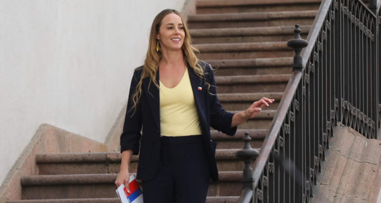 Sedini defiende “gobierno de emergencia” de Kast: “Chile ya no puede seguir postergando problemas”