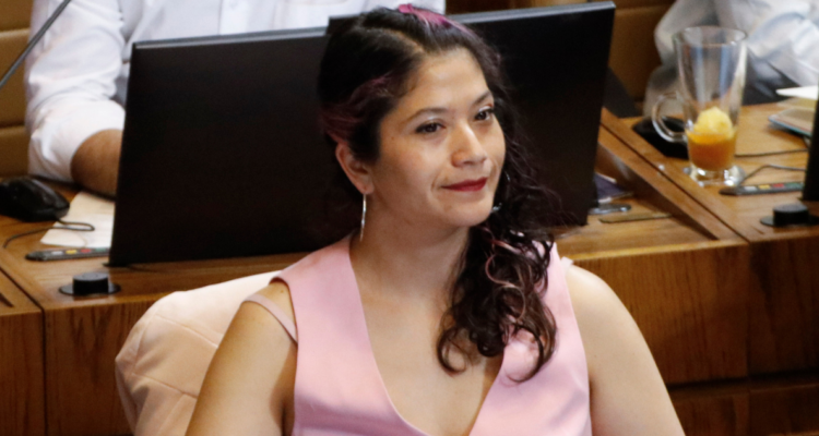Diputada Ñanco oficia a Contraloría y GORE Araucanía: pide detalles de proyectos asociados a programa