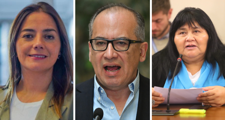 Tres de 8 diputados deudores de créditos universitarios corresponden a la región de Los Lagos