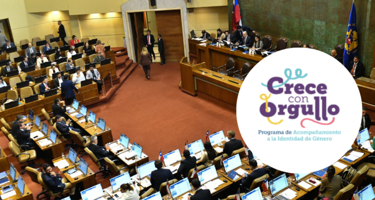 Diputados RN piden a Minsal transparentar funcionamiento y protocolos del PAIG en niños y adolescentes