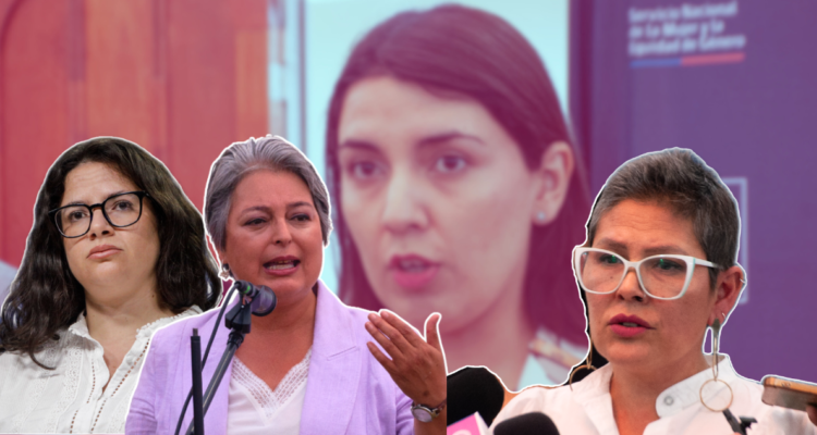 "Cruel": oposición fustiga al Gobierno por sacar a directora SernamEG en tratamiento contra el cáncer