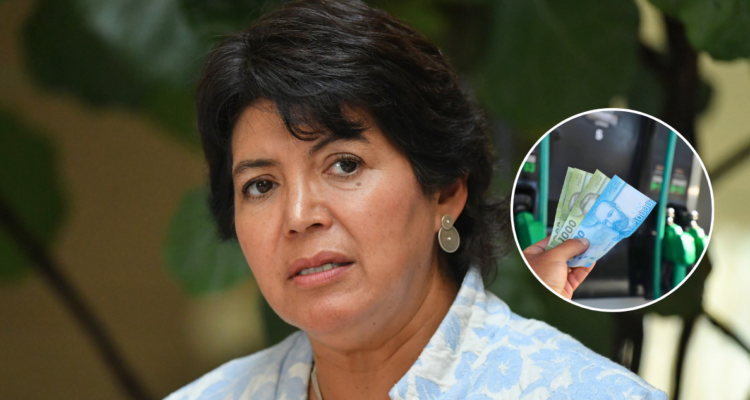 Senadora Provoste insinúa que Gobierno hará desaparecer el MEPCO traspasando costos a familias