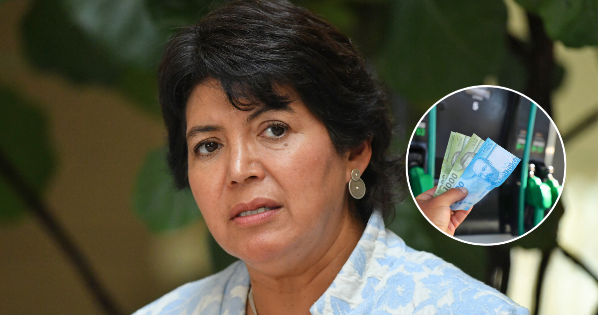 Senadora Provoste insinúa que Gobierno hará desaparecer el MEPCO traspasando costos a familias