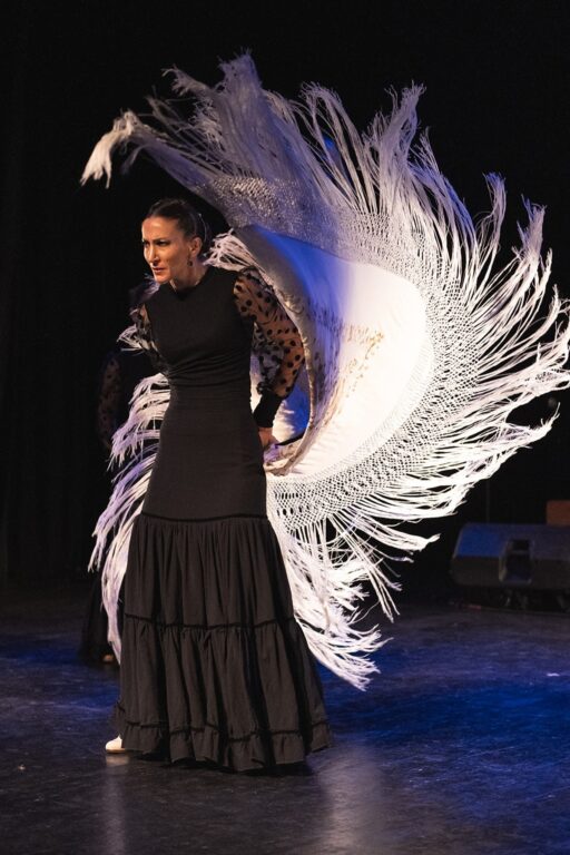¡Vivir Flamenco!,