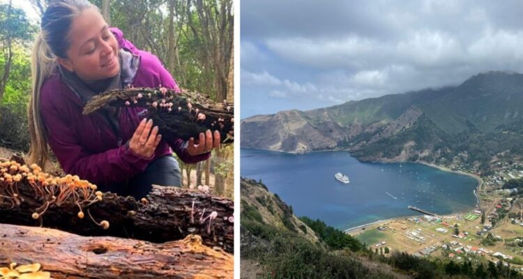 Allison Olivares | Instagram