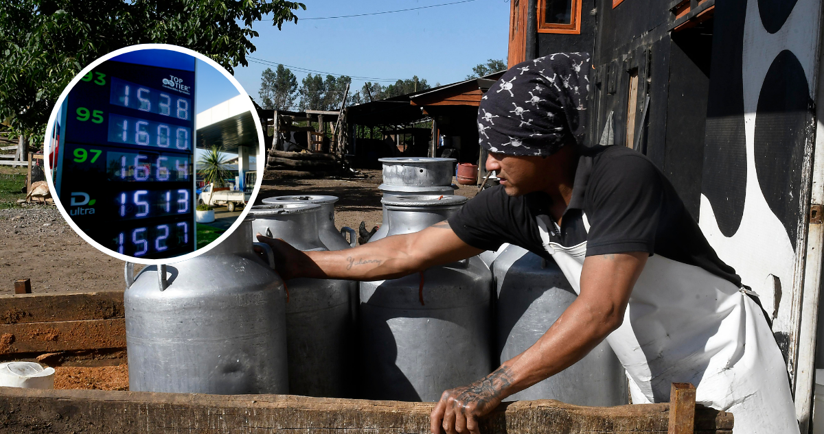 Fedeleche advierte que alza en combustibles afectará fuertemente los costos de producción de la leche