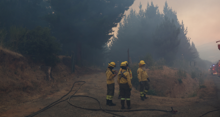 Declaran Alerta Roja en Ránquil por incendio forestal