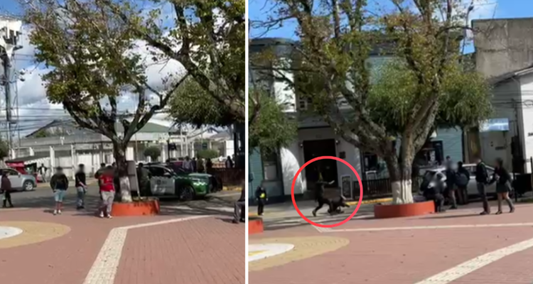 Graban violenta pelea entre estudiantes en plena plaza de armas de Cañete: dos adolescentes apuñalados