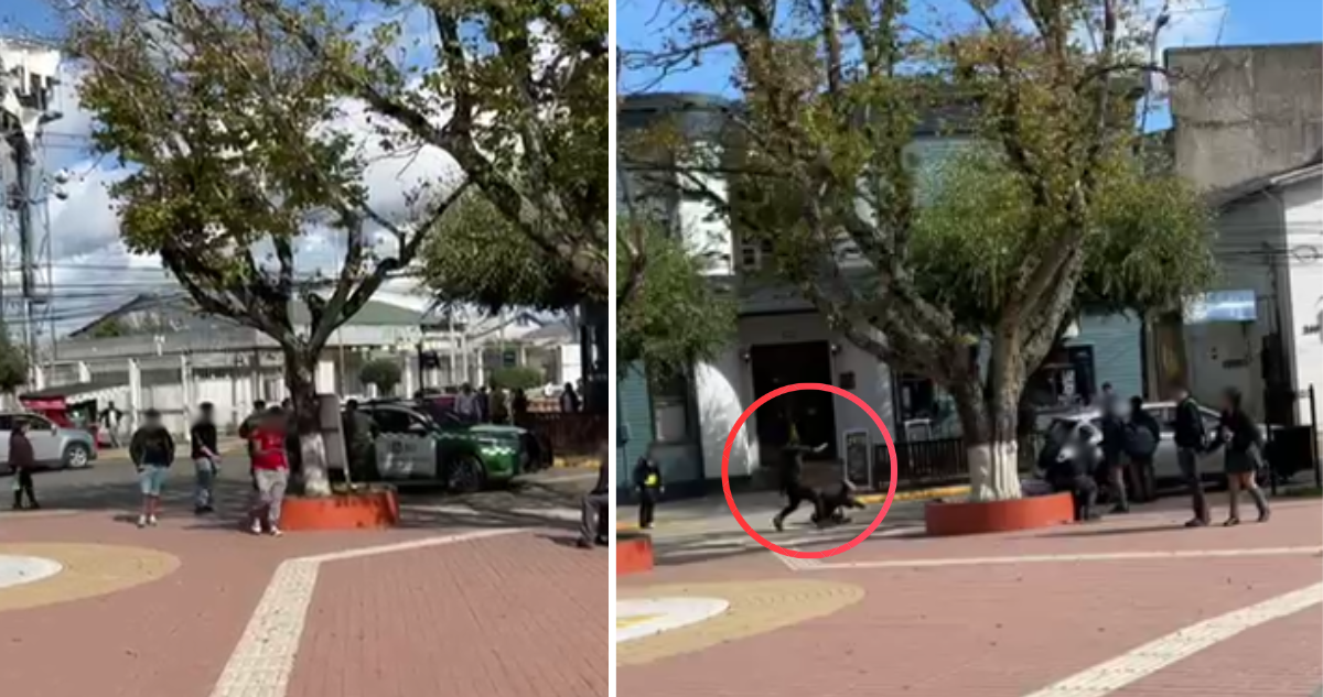 Graban violenta pelea entre estudiantes en plena plaza de armas de Cañete: dos adolescentes apuñalados