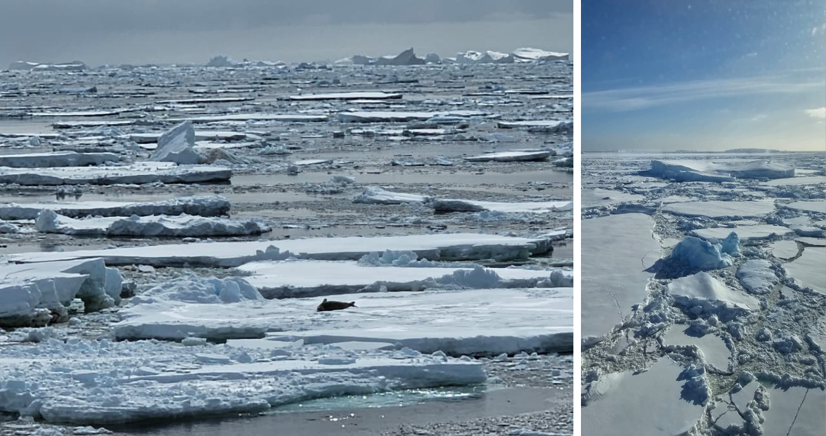 Hielo marino que impide el funcionamiento continuo de la toma de agua desde el casco del buque.