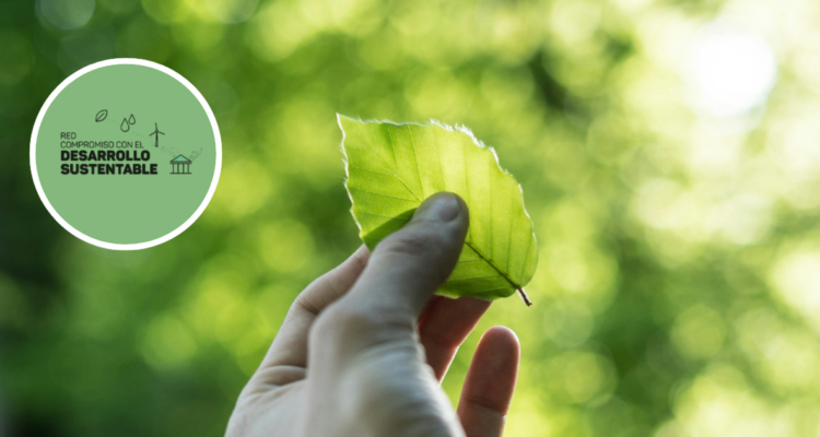Foto de contexto de mano sosteniendo una hoja en un entorno verde. Y logo de la Red CDS.