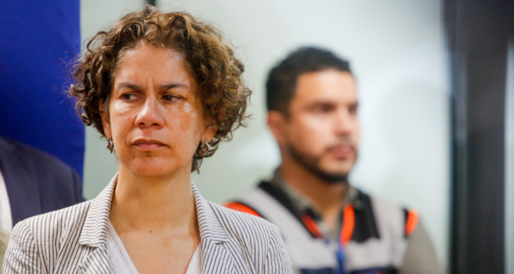 Gobierno cita su último Comité de Ministros en materia ambiental: Dominga vuelve a tensionar el debate