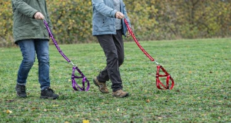 Experta explica qué hay detrás del “Hobby Dogging”: la nueva tendencia de pasear perros imaginarios