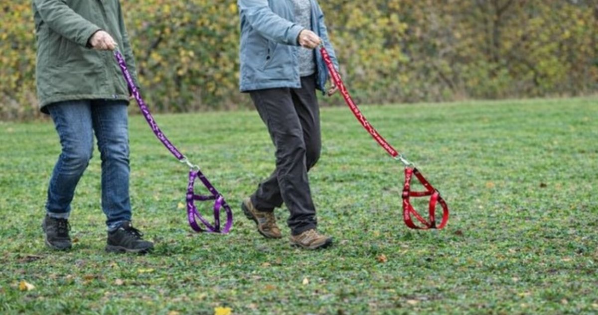 Experta explica qué hay detrás del “Hobby Dogging”: la nueva tendencia de pasear perros imaginarios