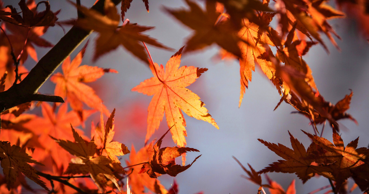 cuando empieza el otoño