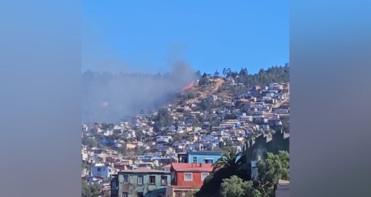 Incendio forestal en cerro Jiménez