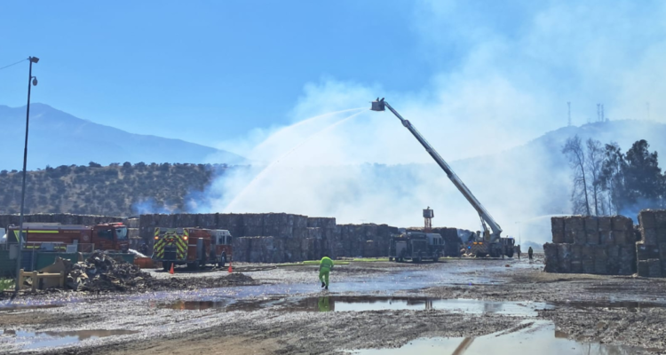 Christian Borcoski | RBB