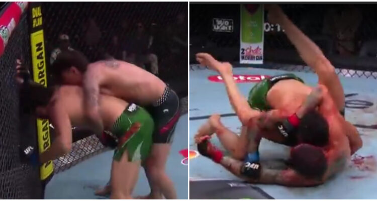 Jaula Bahamondes vs Musayev