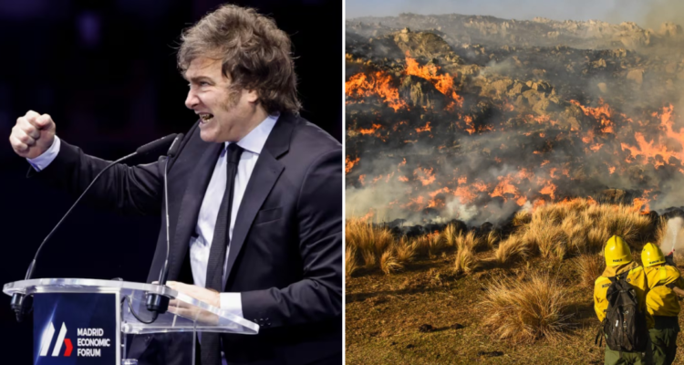 Proyecto del gobierno de Milei por tierras rurales