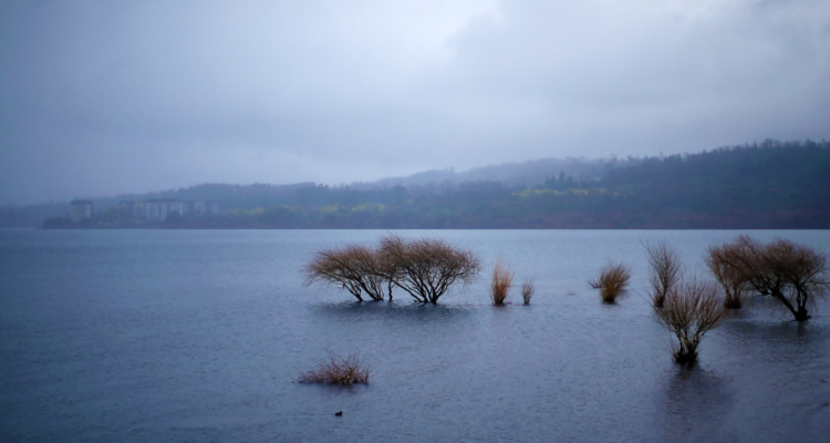 Gobierno retiró de Contraloría el plan de descontaminación del Lago Villarrica