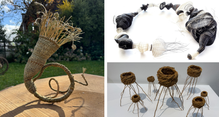 Latúe de Viviana Rantul, obra de Rita Soto y Nidos de palafito de Raquel Aguilar