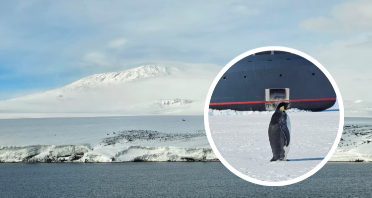 Paisaje antártico y pingüino emperador
