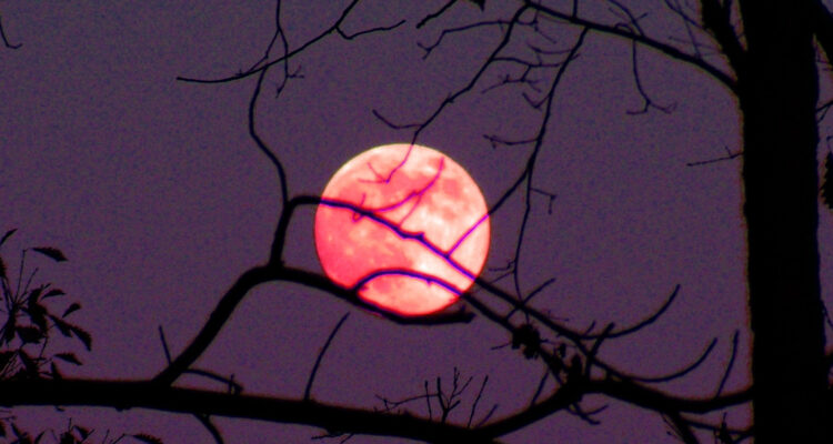 Luna Rosa es parte de los eventos del calendario astronómico de abril