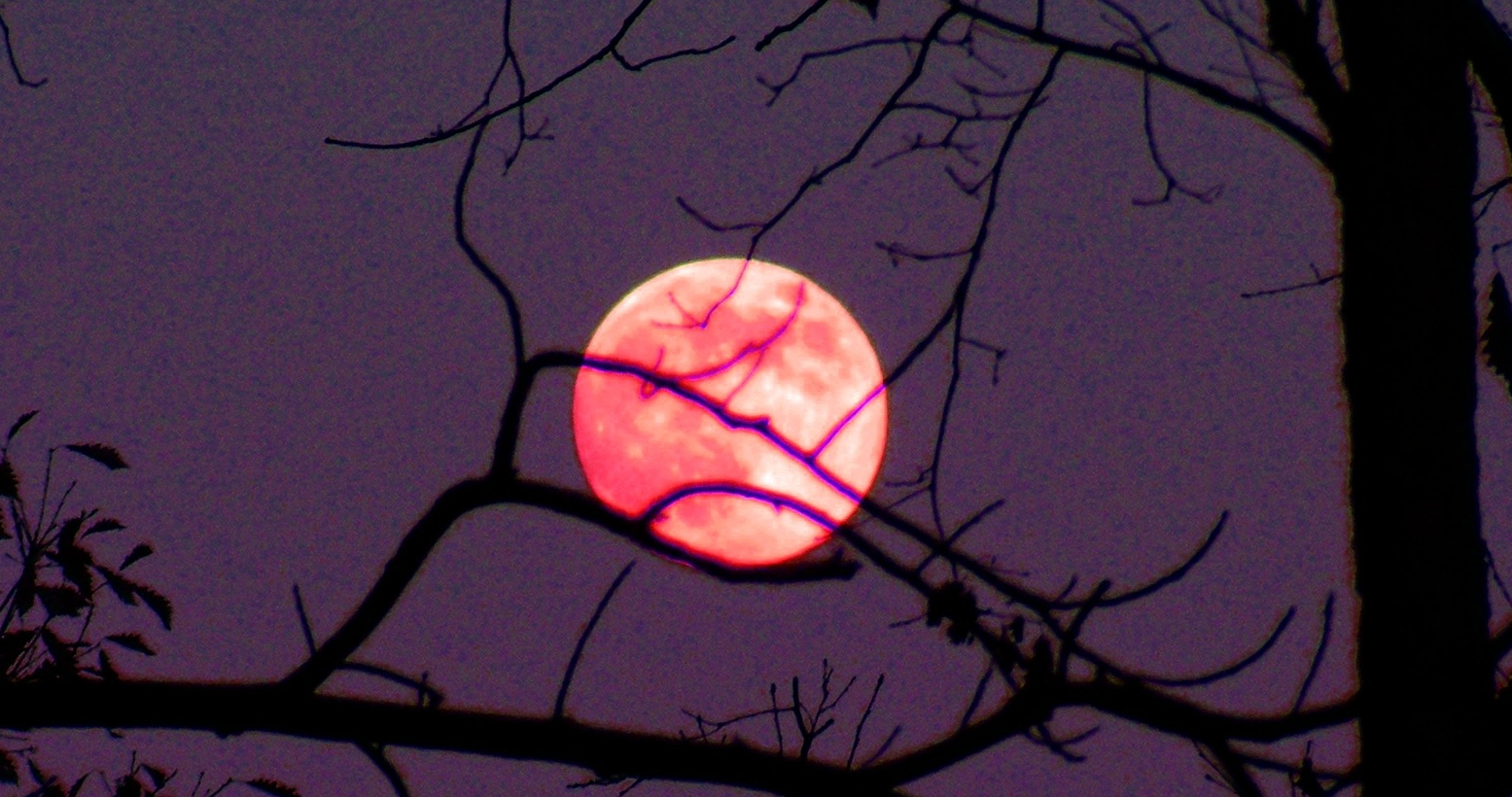 Luna Rosa es parte de los eventos del calendario astronómico de abril