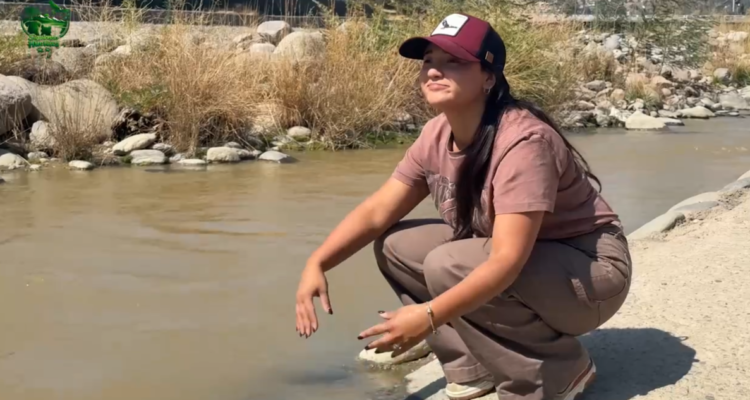 Siguiendo Huellas: Junto a @Mapochovivo