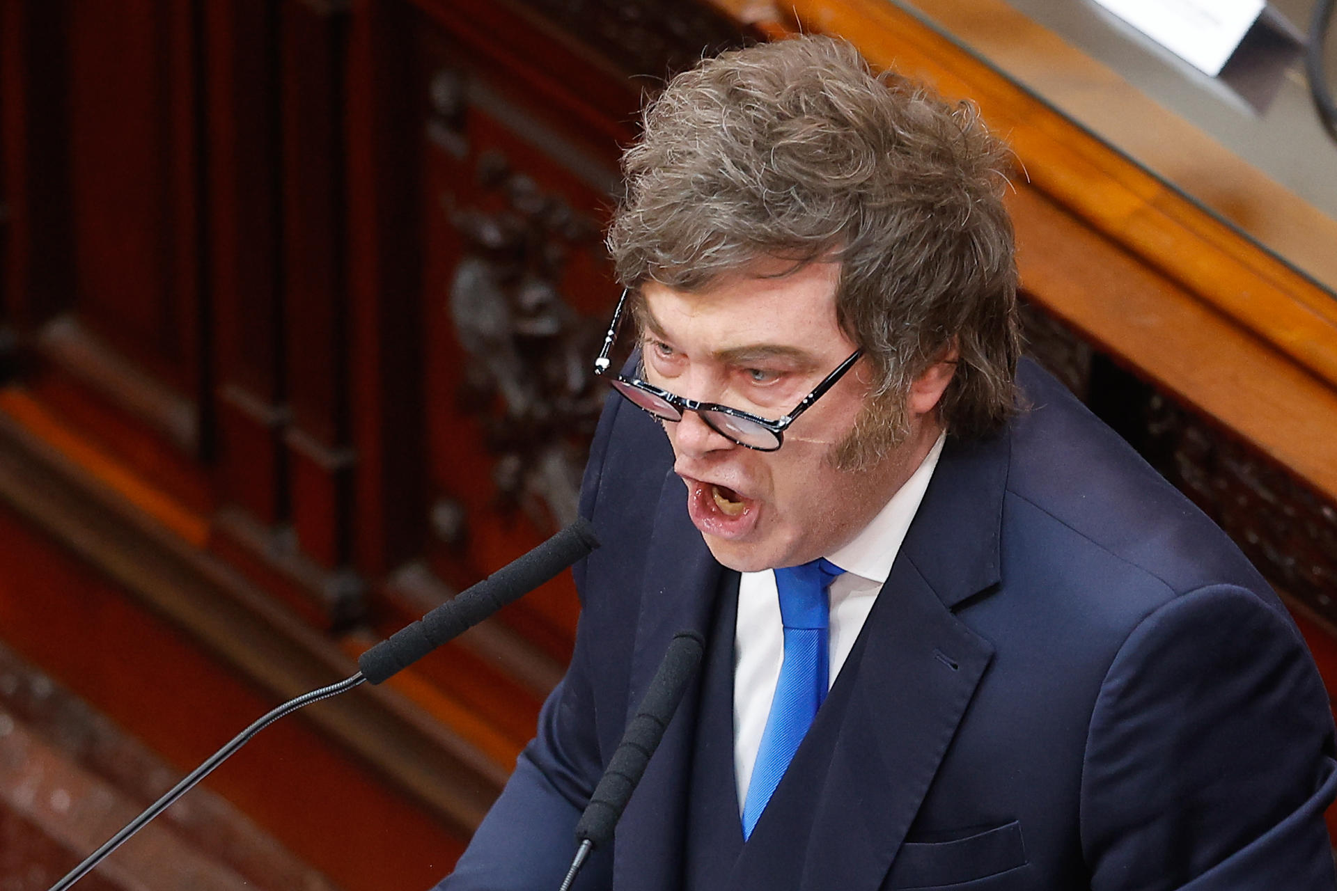 El presidente de Argentina, Javier Milei
