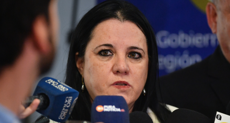 Ministra Steinert anuncia que sumarán a Policía Marítima y otros actores a operativos de seguridad