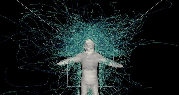 Foto del mapa 3D del vuelo de los mosquitos