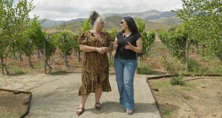 Motorfem: Mujeres que mueven la industria