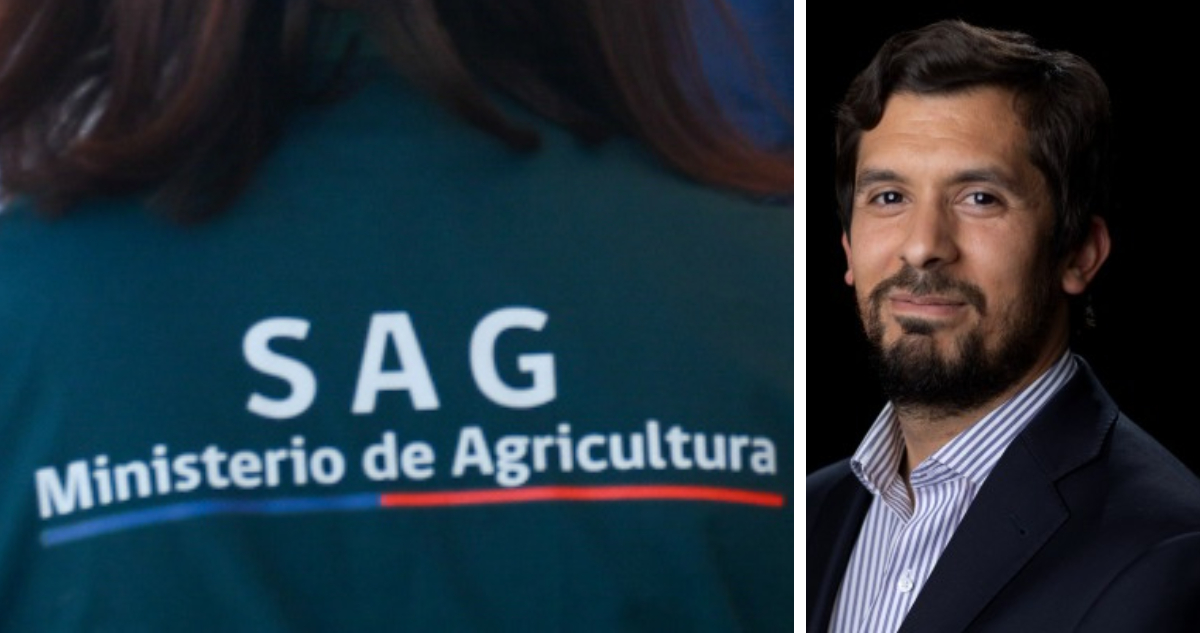 Víctor Huenante | Agencia UNO | Domingo Rojas Philippi | LinkedIn