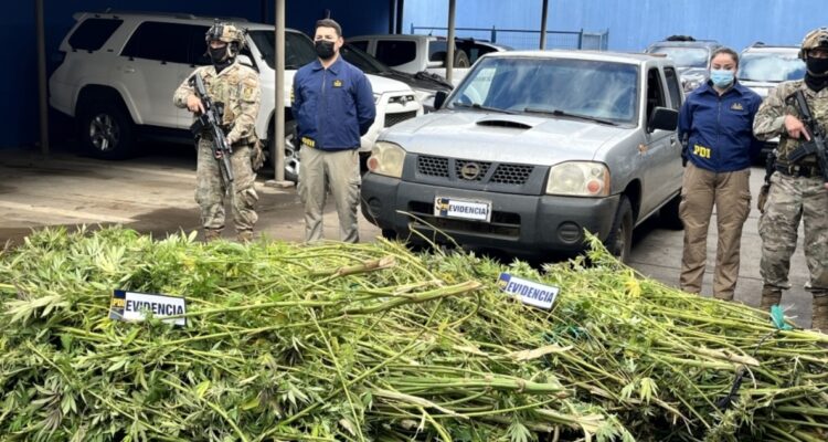Operativo en comunidad de Ercilla deja un detenido y la incautación de marihuana, armas y municiones