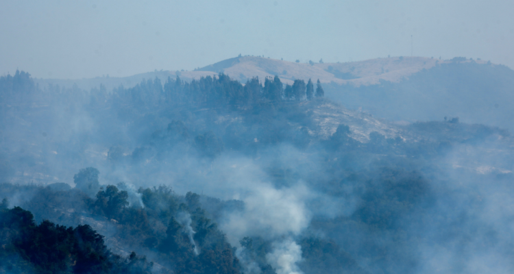 Ordenan evacuar sectores de Guarilihue Alto y Casas Quemadas por incendio forestal en Coelemu