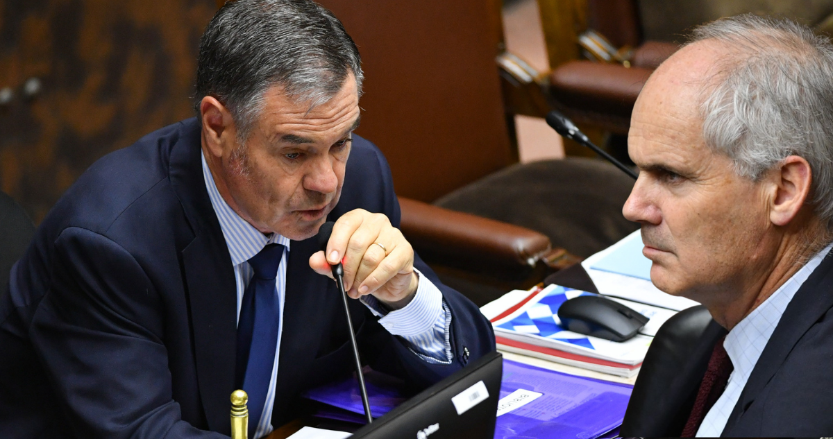 Ossandón (RN) acusa maniobra de Galilea en disputa a presidencia del Senado: “Soy víctima de su operación”