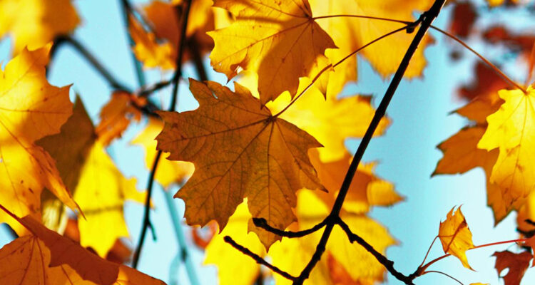 equinoccio de otoño