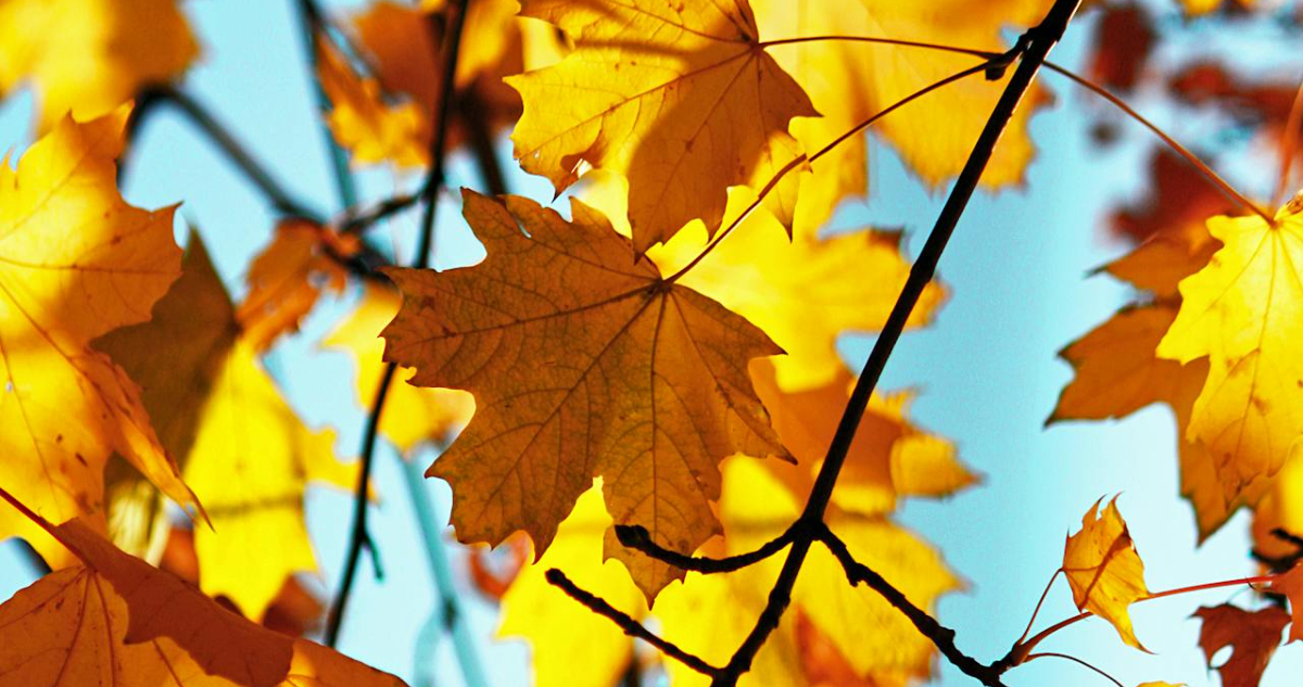 equinoccio de otoño