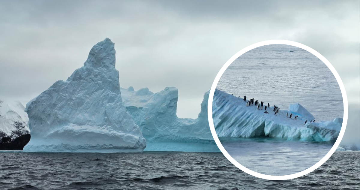 Iceberg flotando en el mar y pingüinos viajando en un bloque de hielo.