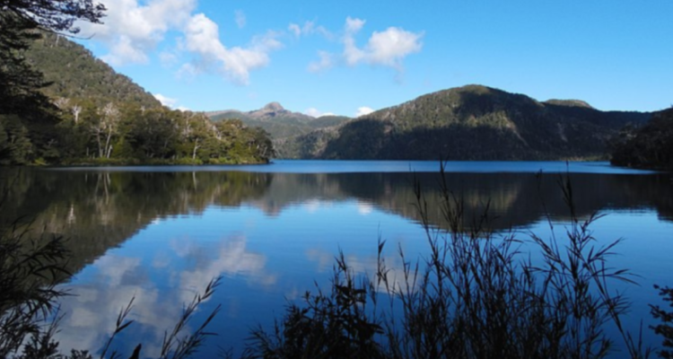 Dan luz verde a construcción de tres edificios en el Parque Nacional Puyehue