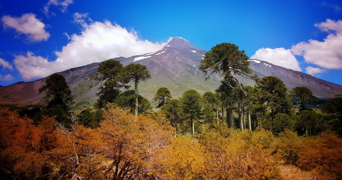 Parque Nacional Villarrica