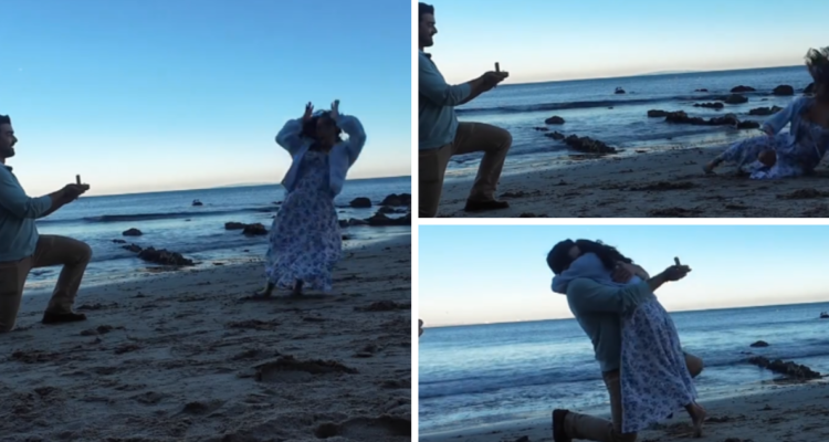 pedida de matrimonio viral