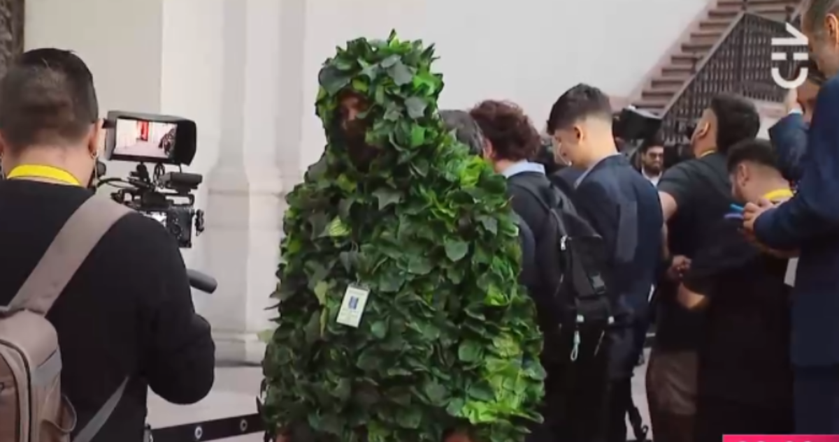 periodista vestido de planta