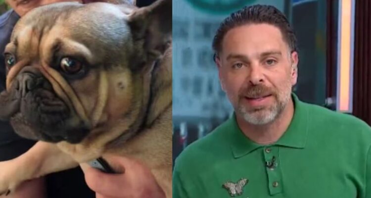 Neme lamenta nueva muerte de uno de su perros, el segundo en poco más de un mes: