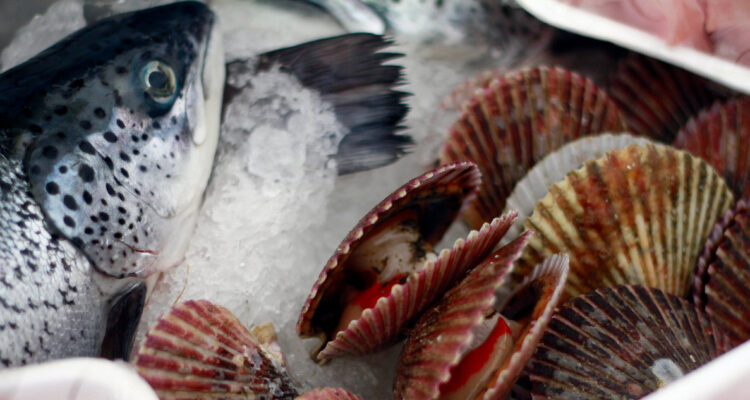 Semana Santa: Sernac fiscaliza venta de pescados y mariscos y entrega consejos a la hora de comprar