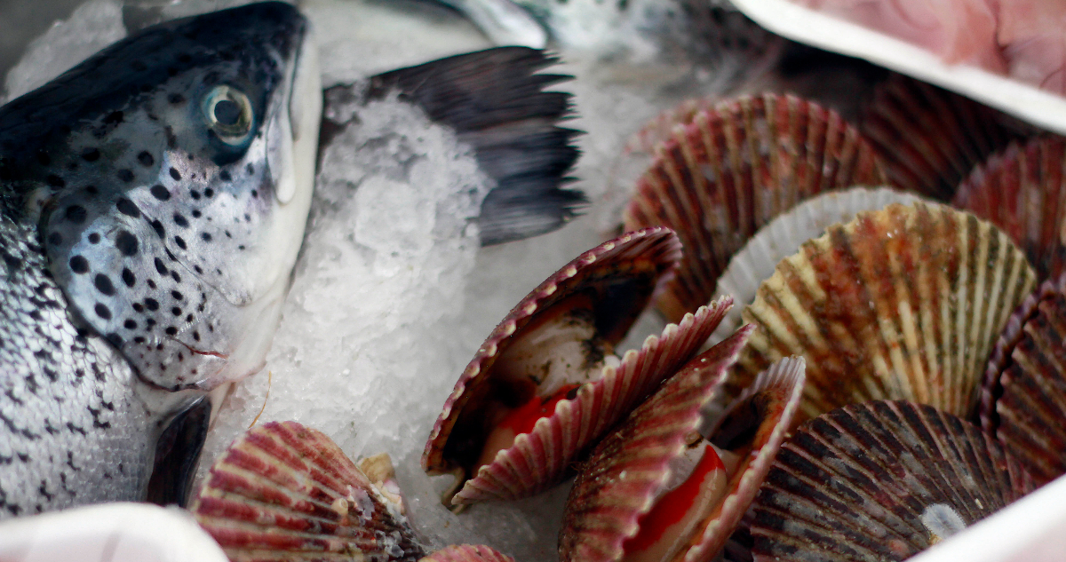 Semana Santa: Sernac fiscaliza venta de pescados y mariscos y entrega consejos a la hora de comprar