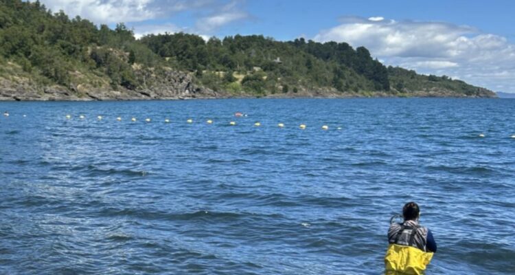 Plan de Descontaminación del Lago Villarrica